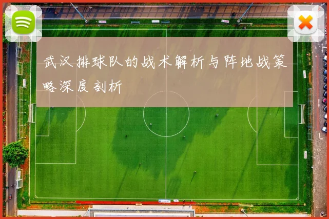 武汉排球队的战术解析与阵地战策略深度剖析