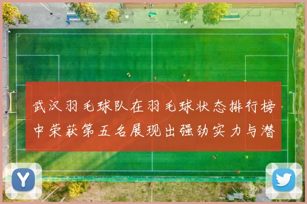 武汉羽毛球队在羽毛球状态排行榜中荣获第五名展现出强劲实力与潜力